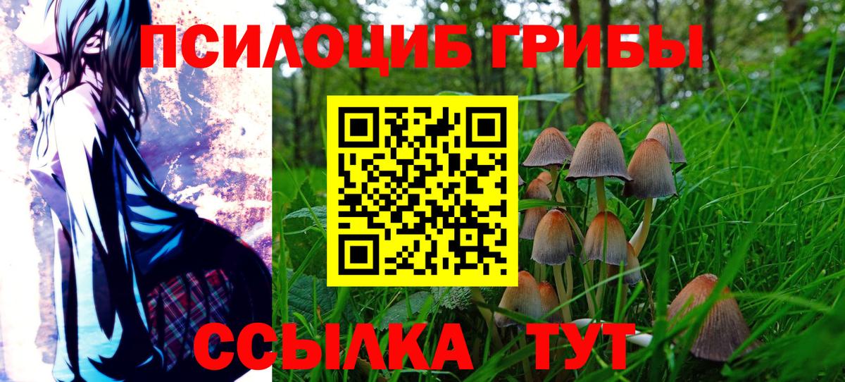 Галлюциногенные грибы MAGIC MUSHROOMS Домодедово
