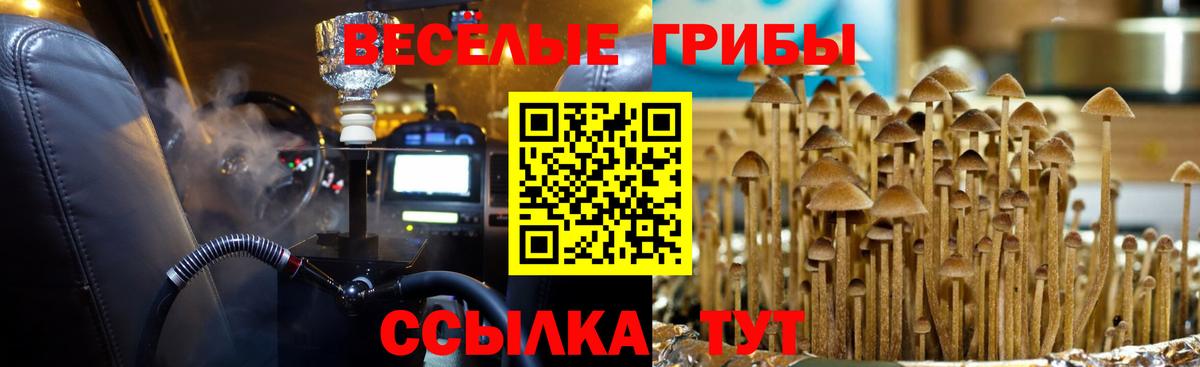 Домодедово  Галлюциногенные грибы мицелий  Вход с VPN 
